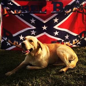 Meet your Posher, Colton